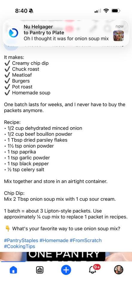 Homemade Onion Soup Mix