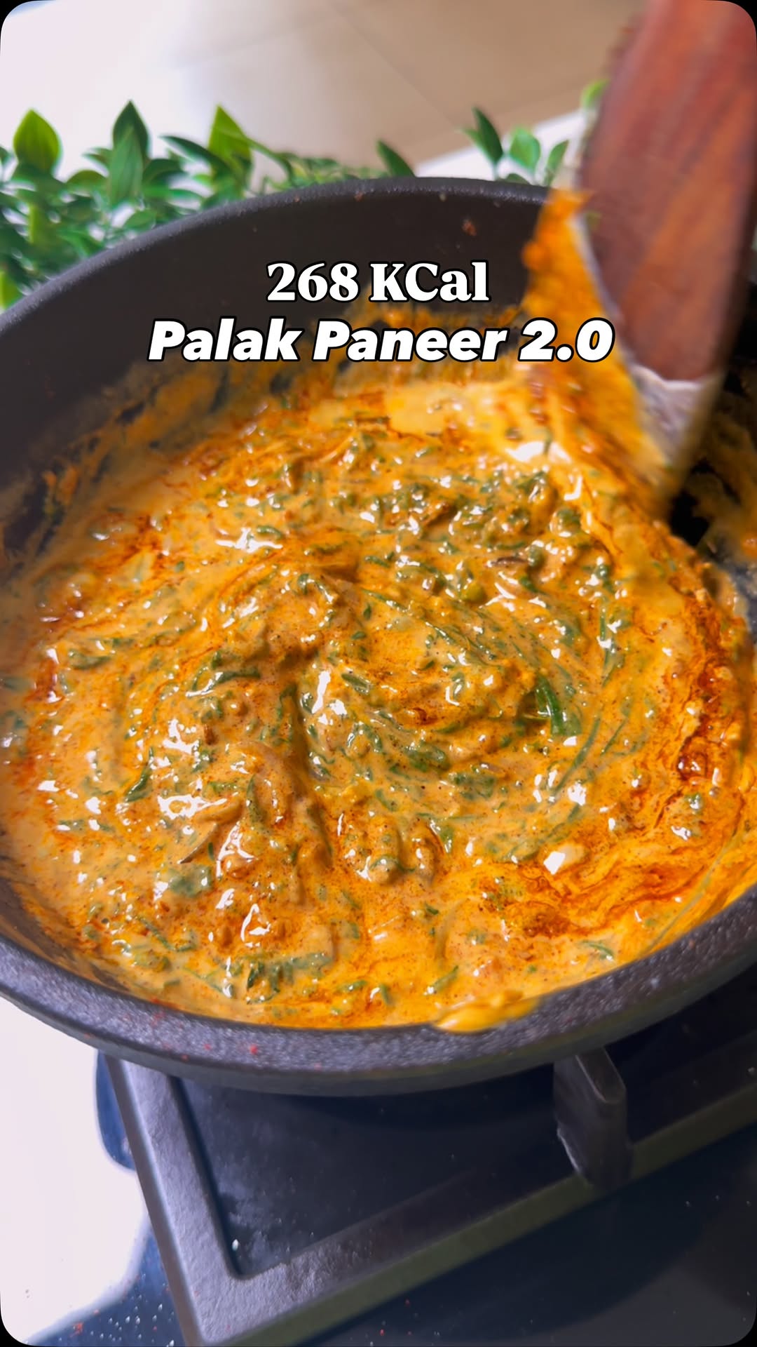 Palak Paneer 2.0