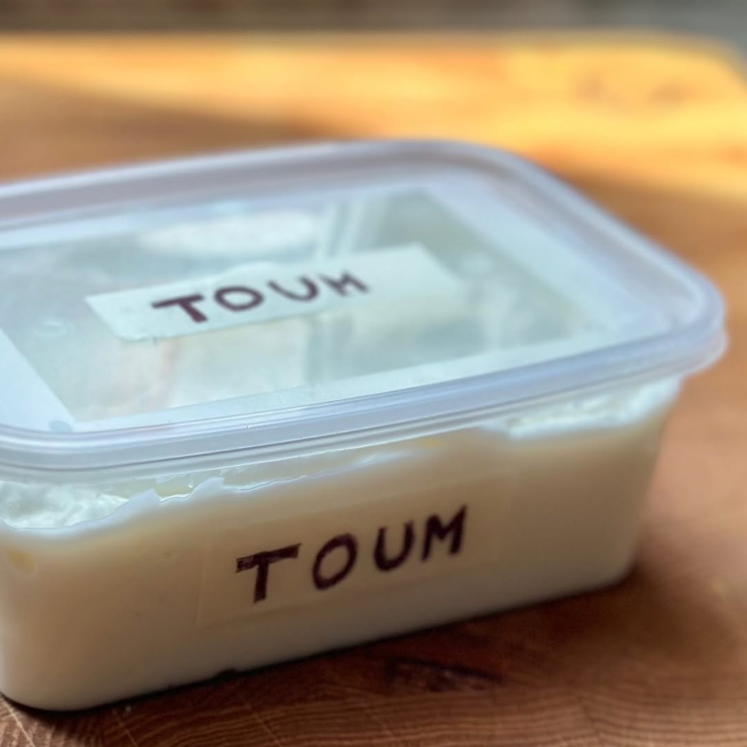 Toum