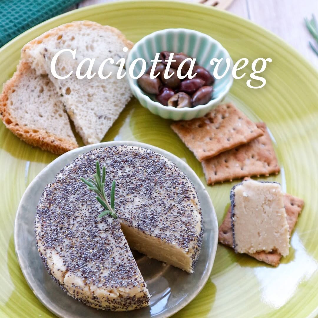 Cashew Caciotta