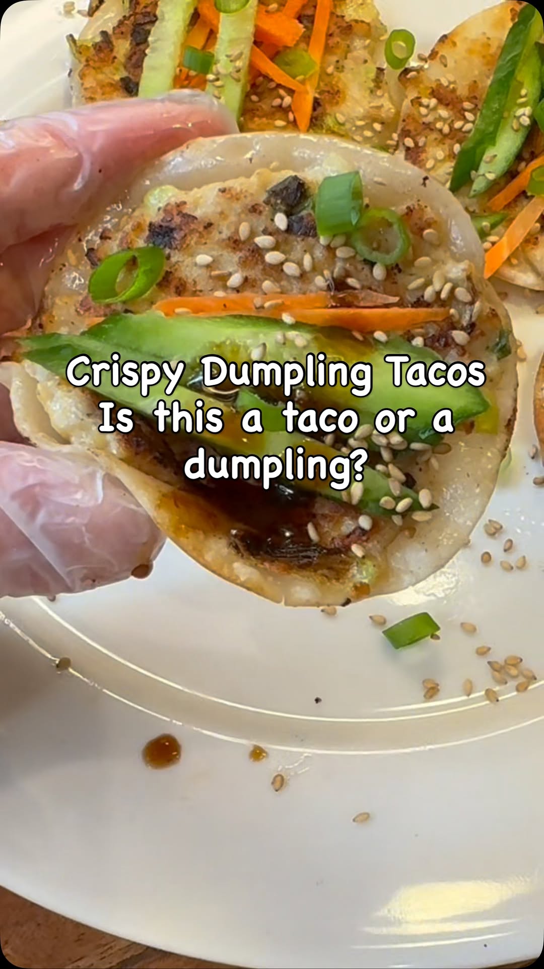 Crispy Dumpling Tacos
