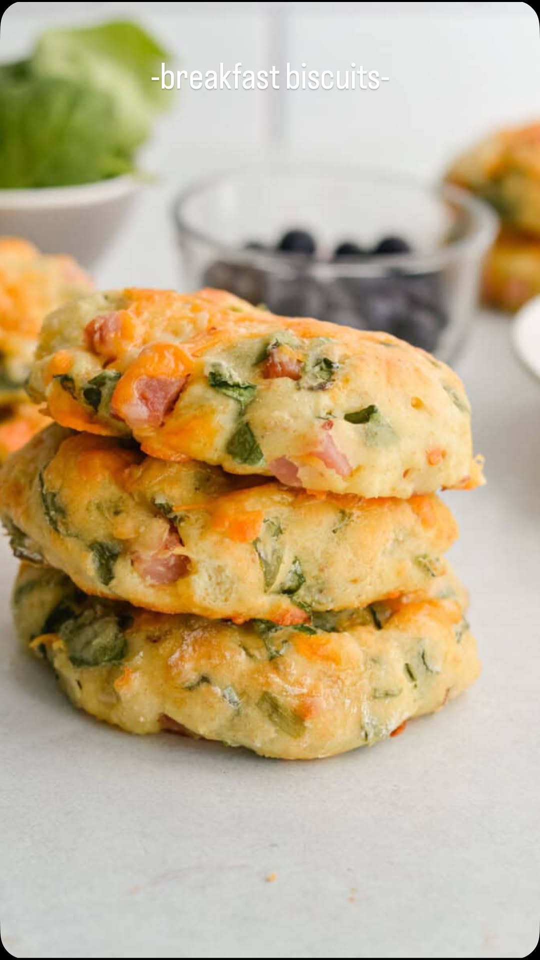 Breakfast Protein Biscuits