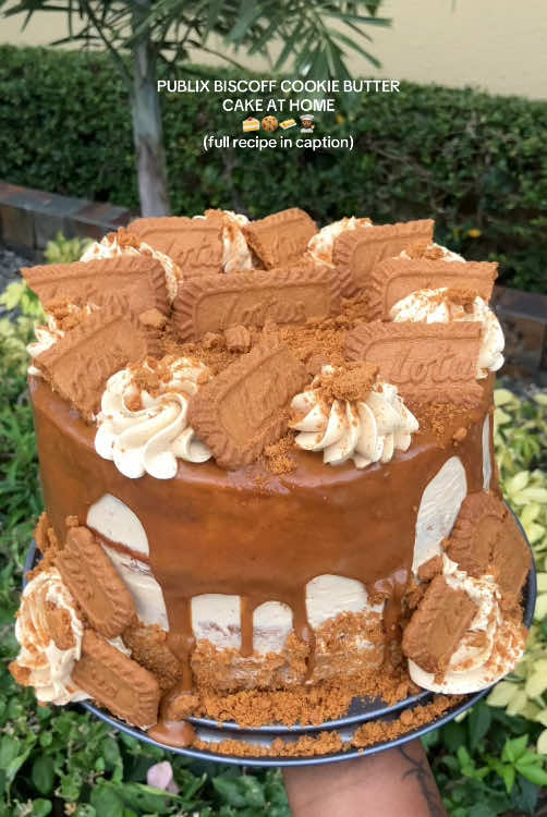 Cookie Butter Cake