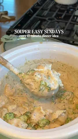 Slow Cooker Chicken Alfredo Tortellini Soup