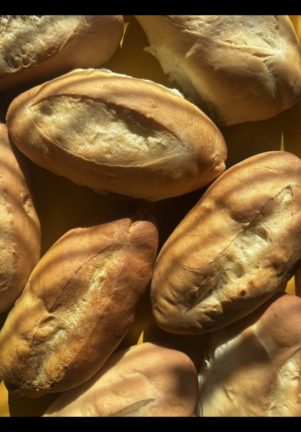 Sandwich Rolls / Hoagie Roll