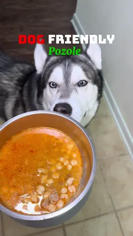 Dog-Friendly Red Pozole