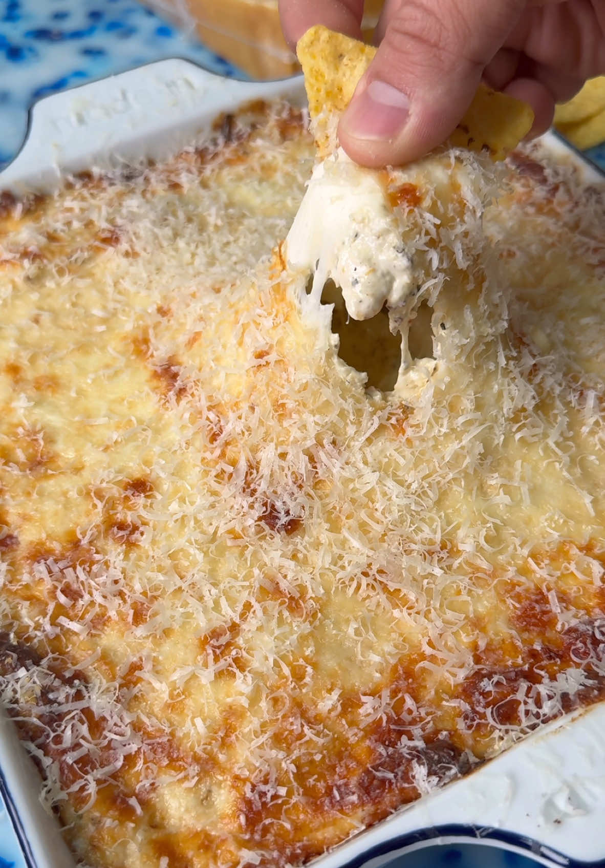 Garlic Parmesan Chicken Dip