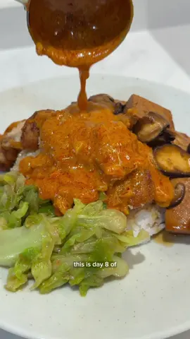 Hainanese Scissor Cut Curry Rice