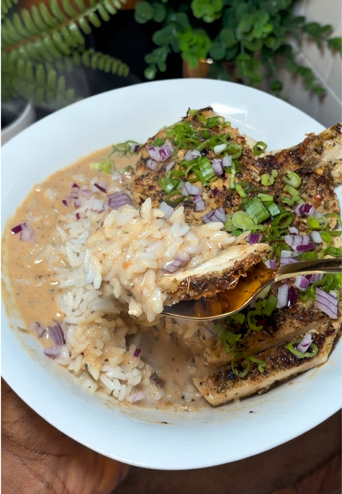 Creamy Cajun Brothy Rice with Garlic and Herb Chicken