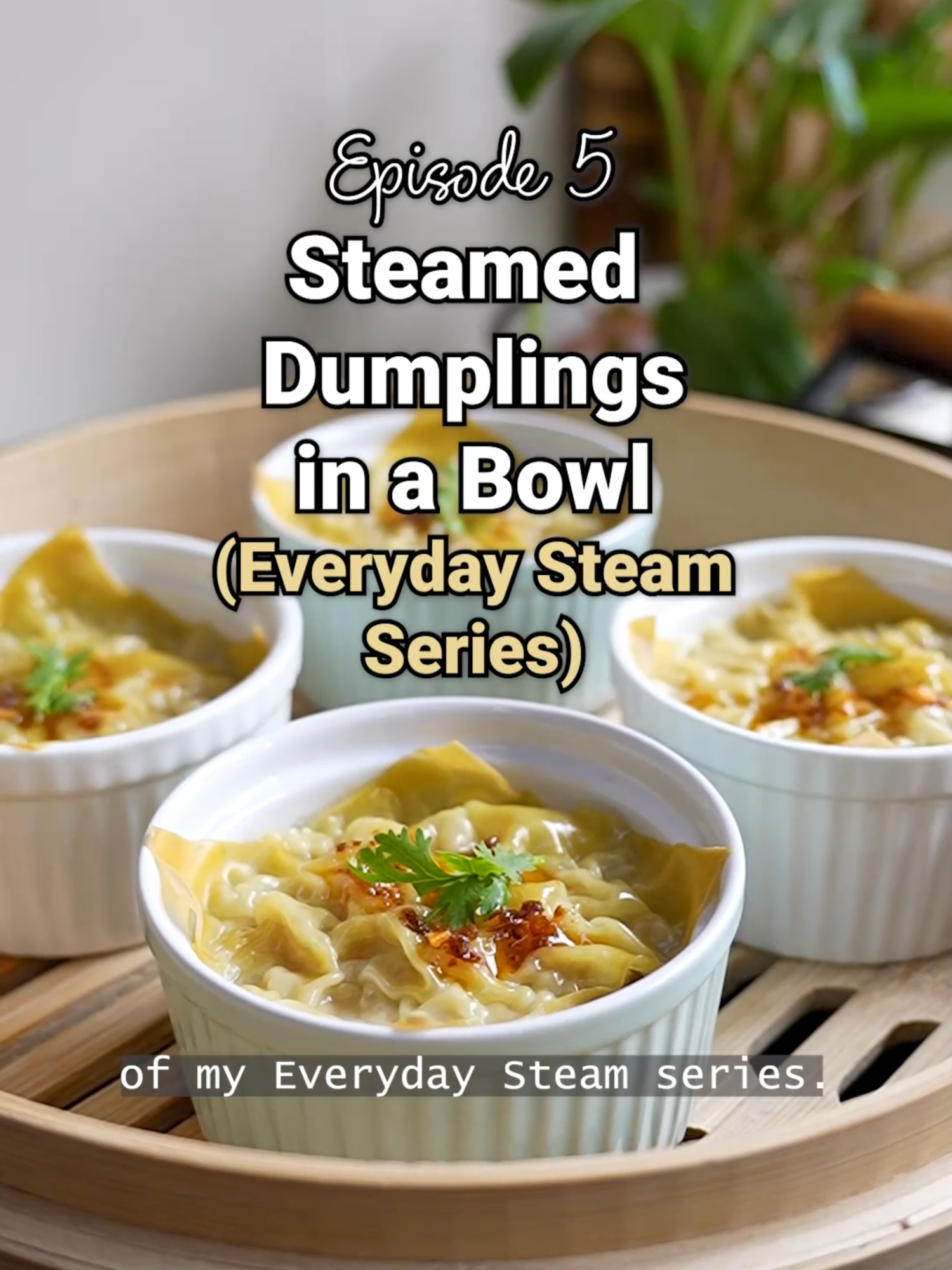 Steamed Dumplings in a Bowl
