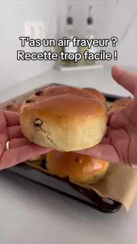 Easy and Quick Air Fryer Chocolate Chip Brioche
