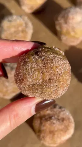 Healthy Banana Churro Mini Muffins